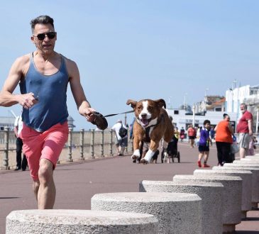 Sport con cane