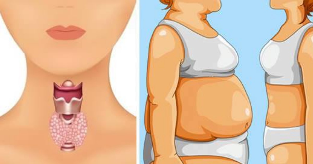 come sciacquare il fegato naturalmente metabolismo bloccato non riesco a dimagrire