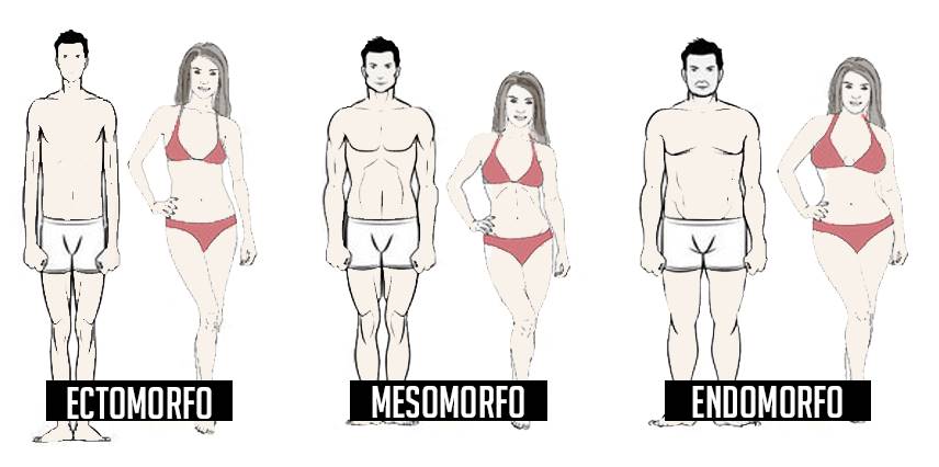 somatotipo