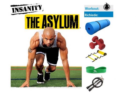 the insanity asylum workout the insanity asylum workout