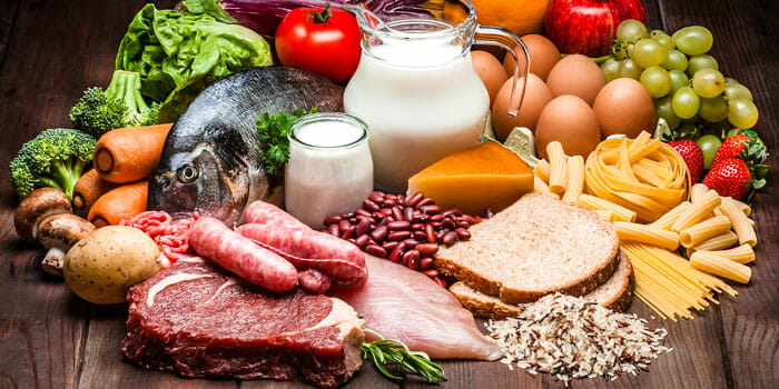 Proteine animali e vegetali